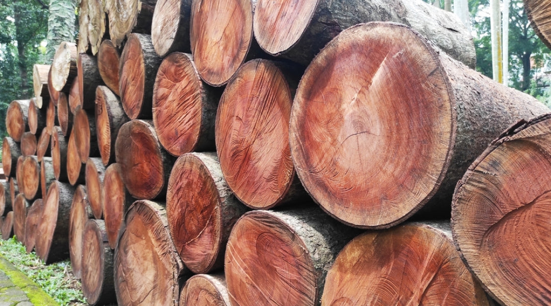 Why Stihl Chainsaw Models Dominate the Market