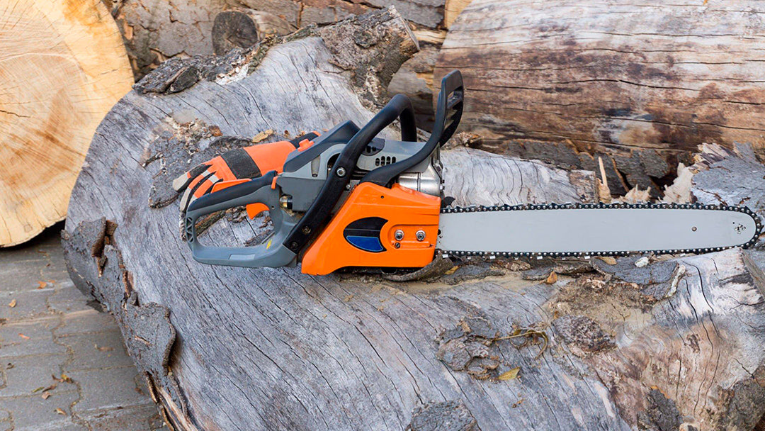 Essential Chainsaw Parts